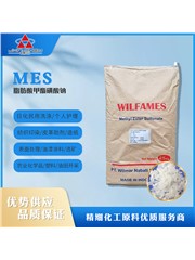 脂肪酸甲酯磺酸鈉 MES